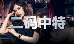 <b>赛马场的环形赛马道V8</b>