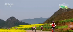 从“种庄稼”到“种风光” 农文旅融合让村平易