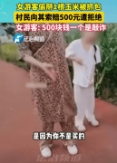 旅客偷玉米被赃俱获村平易近要求补偿网友：一