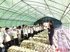 <b>驻马店市农科院联袂东祥小学开展农业科育勾当</b>