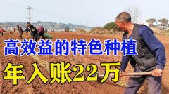 <b>正在农村加工什么项目赔本</b>